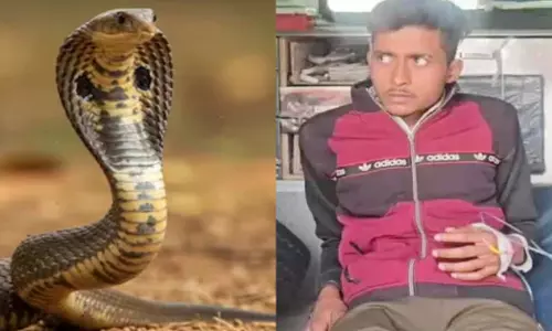 Baghpat: सांप के डसने से युवक गंवा बैठा अपनी आवाज़ Baghpat: सांप के डसने से युवक गंवा बैठा अपनी आवाज़