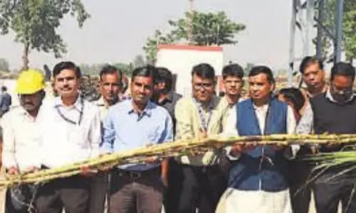 Bareilly: नए सत्र के साथ द्वारकेश मिल में उत्पादन शुरू Bareilly: नए सत्र के साथ द्वारकेश मिल में उत्पादन शुरू
