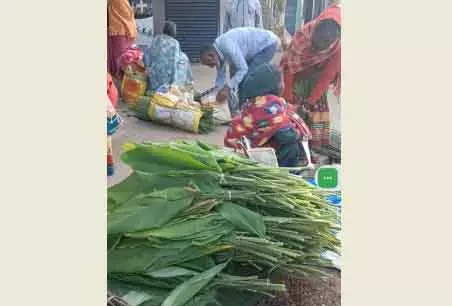 ‘प्रथमाष्टमी’: क्योंझर के हल्दी किसान तैयार करते हैं विशेष घास ‘प्रथमाष्टमी’: क्योंझर के हल्दी किसान तैयार करते हैं विशेष घास