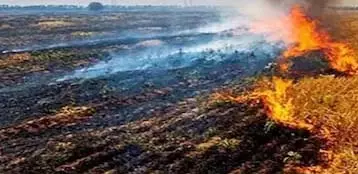 पराली जलाने से रोकने निगरानी दल का गठन पराली जलाने से रोकने निगरानी दल का गठन