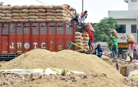 धान खरीद में संगरूर और गोदामों तक फसल पहुंचाने में पटियाला नंबर वन धान खरीद में संगरूर और गोदामों तक फसल पहुंचाने में पटियाला नंबर वन