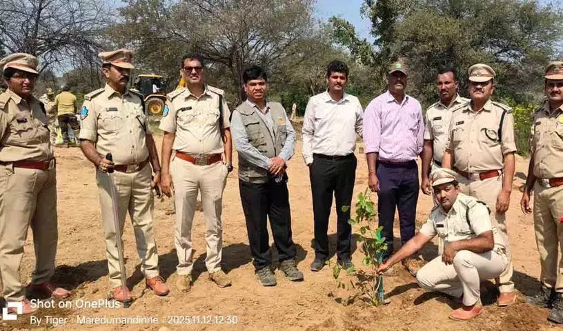 Nagarkurnool Forest Department Planted Trees In Kollapur Forest Region Nagarkurnool Forest Department Planted Trees In Kollapur Forest Region