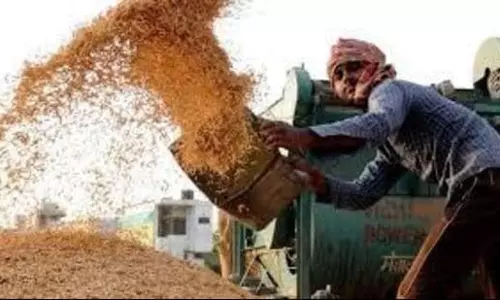 Punjab : खरीद मानदंडों में ढील के साथ 10% क्षतिग्रस्त अनाज की अनुमति Punjab : खरीद मानदंडों में ढील के साथ 10% क्षतिग्रस्त अनाज की अनुमति