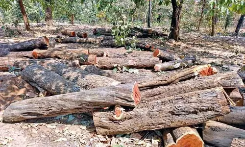 Jammu: एफपीएफ और वन विभाग की संयुक्त टीम ने की छानबीन Jammu: एफपीएफ और वन विभाग की संयुक्त टीम ने की छानबीन