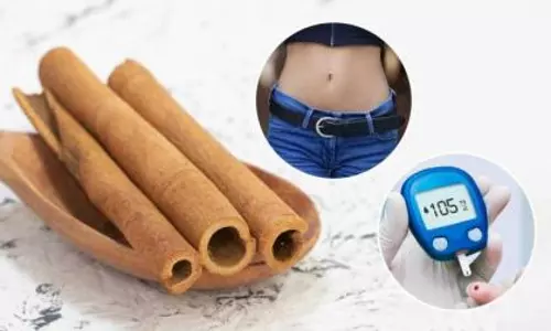 Cinnamon: प्राकृतिक तरीके से वसा जलाने और लालसा कम करने में मदद Cinnamon: प्राकृतिक तरीके से वसा जलाने और लालसा कम करने में मदद
