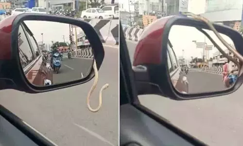 Tamil Nadu में कार के शीशे से निकला सांप, वीडियो वायरल Tamil Nadu में कार के शीशे से निकला सांप, वीडियो वायरल