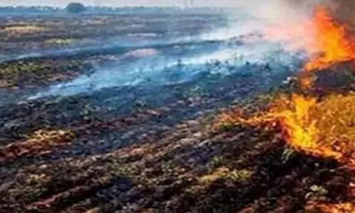 पराली जलाने से रोकने निगरानी दल का गठन