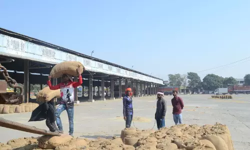 Karnal में 25,000 क्विंटल धान की कमी के लिए 2 और चावल मिलें जांच के घेरे में