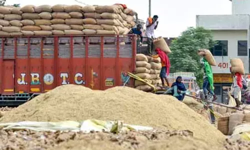 धान खरीद में संगरूर और गोदामों तक फसल पहुंचाने में पटियाला नंबर वन