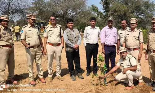 Nagarkurnool Forest Department Planted Trees In Kollapur Forest Region