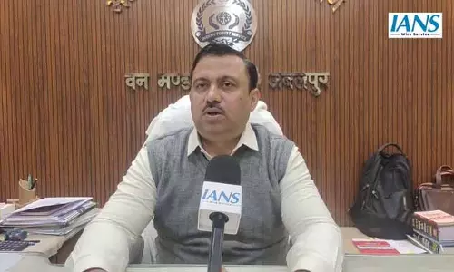 जबलपुर में मरी महिला तेंदुए के गले पर गहरे घाव, पंजों में मिली अन्य जानवर की खाल