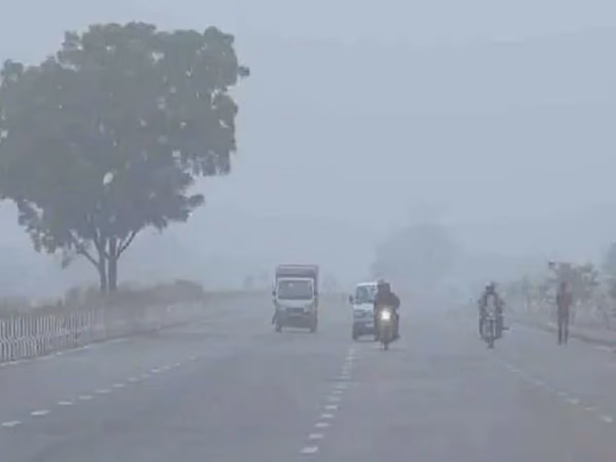 Bhopal: भोपाल-इंदौर समेत कई जिलों में सर्द हवाओं का असर, तापमान लुढ़का Bhopal: भोपाल-इंदौर समेत कई जिलों में सर्द हवाओं का असर, तापमान लुढ़का