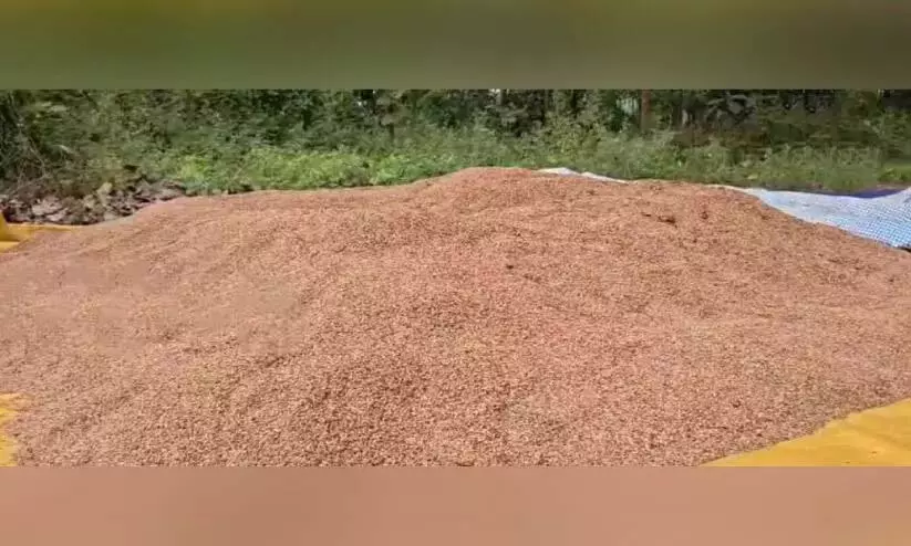 Kerala : चावल की खरीद रुकी, किसान निराश Kerala : चावल की खरीद रुकी, किसान निराश