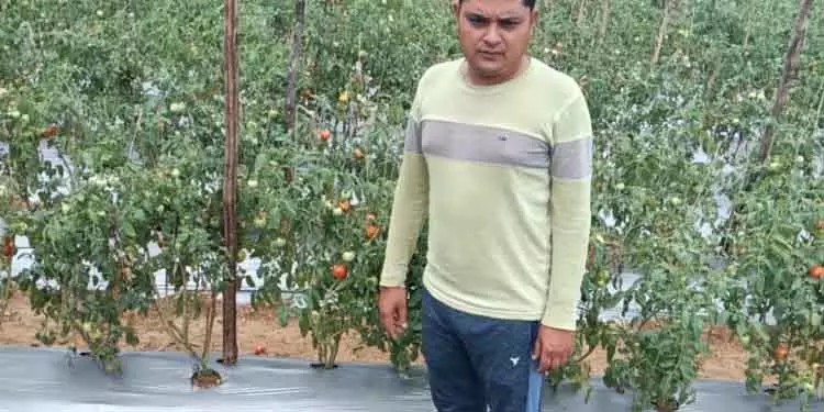Bhawanipatna सिविल इंजीनियर से सफल किसान तक Bhawanipatna सिविल इंजीनियर से सफल किसान तक