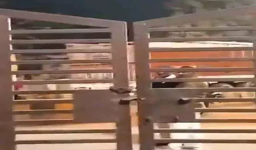 RJD का आरोप, बिहार मतगणना केंद्र पर ईवीएम से लदे ट्रक RJD का आरोप, बिहार मतगणना केंद्र पर ईवीएम से लदे ट्रक