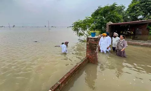 Punjab सरकार ने सुल्तानपुर लोधी के बाढ़ प्रभावित गांवों को मुआवजा वितरित किया