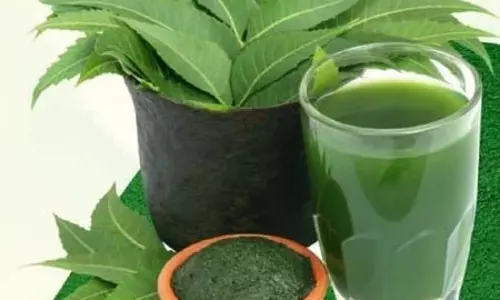 लिवर को डिटॉक्स कर मुहांसो को दूर करता है नीम
