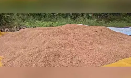 Kerala : चावल की खरीद रुकी, किसान निराश Kerala : चावल की खरीद रुकी, किसान निराश