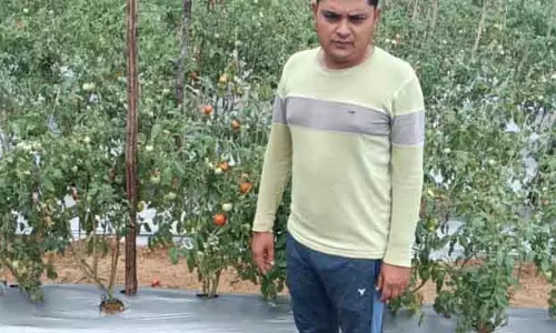 Bhawanipatna सिविल इंजीनियर से सफल किसान तक