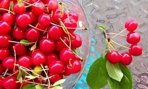 इन अद्भुत स्वास्थ्य लाभों के लिए रोज़ाना Cherry खाना न भूलें