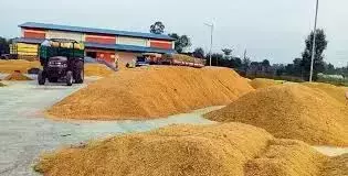Telangana : धान की खरीद 10 लाख मीट्रिक टन के पार