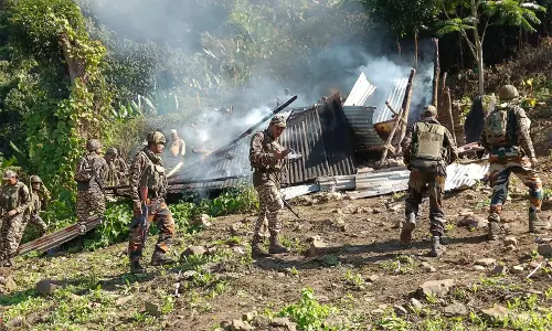 Manipur के कांगपोकपी में 25 एकड़ अवैध अफीम की खेती नष्ट, असम राइफल्स और पुलिस की संयुक्त कार्रवाई