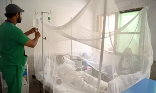 Pakistan: सिंध में डेंगू से दो और मौतें, मरने वालों की संख्या 29 हुई