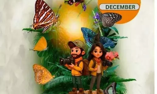 कांगेर घाटी में 5 से 7 दिसंबर तक होगा बटरफ्लाई मीट कांगेर घाटी में 5 से 7 दिसंबर तक होगा बटरफ्लाई मीट