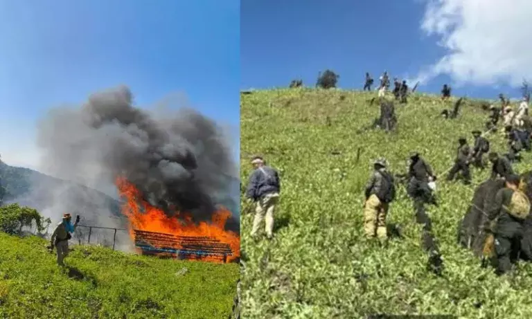 Manipur पुलिस ने उखरुल के कांगपोकपी में 65 एकड़ अवैध पोस्ते की खेती को नष्ट कर दिया