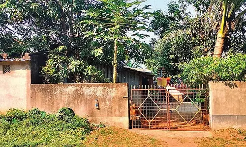 Hathat Colony के निवासियों के बारे में स्थानीय लोगों के मन में कई सवाल Hathat Colony के निवासियों के बारे में स्थानीय लोगों के मन में कई सवाल