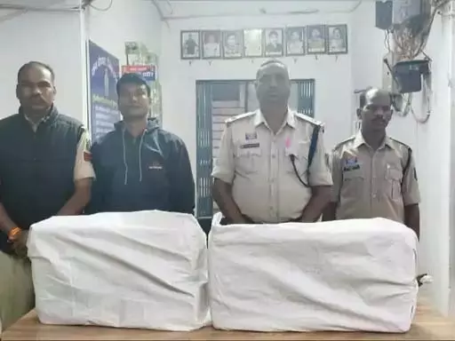 जगदलपुर में गांजा की बड़ी खेप फिर बरामद, एक तस्कर अरेस्ट जगदलपुर में गांजा की बड़ी खेप फिर बरामद, एक तस्कर अरेस्ट