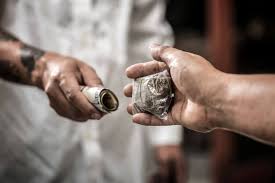 Deported smuggler , उसने अभिनेताओं और राजनेताओं के रेव पार्टियों में ड्रग्स की आपूर्ति की थी