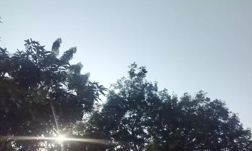रायपुर समेत कई जिलों में ठंड को लेकर येलो अलर्ट जारी