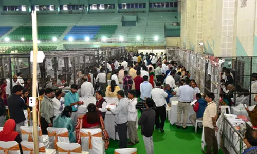 कांग्रेस जुबली हिल्स सीट BRS से छीनने के लिए तैयार दिख रही है कांग्रेस जुबली हिल्स सीट BRS से छीनने के लिए तैयार दिख रही है
