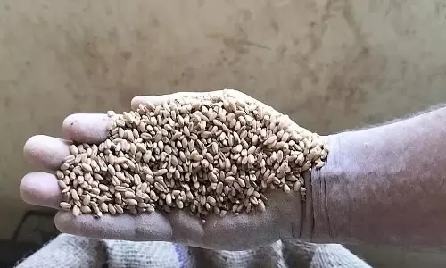Karnataka : चावल और दाल में कीड़ों का ढेर Karnataka : चावल और दाल में कीड़ों का ढेर