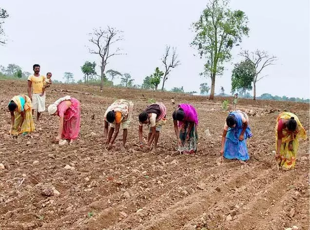 Telangana बीज विधेयक की प्रभावशीलता पर विशेषज्ञों को संदेह Telangana बीज विधेयक की प्रभावशीलता पर विशेषज्ञों को संदेह
