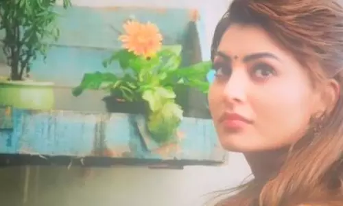 Urvashi Rautela: सोशल मीडिया पर अपनी दमदार एक्टिंग से सबका दिल जीत लिया