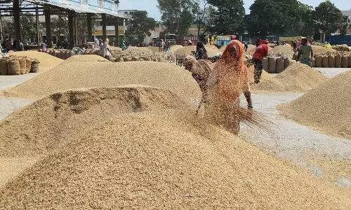 Karnal मंडी पैनल सचिव और अधीनस्थ की अग्रिम जमानत खारिज