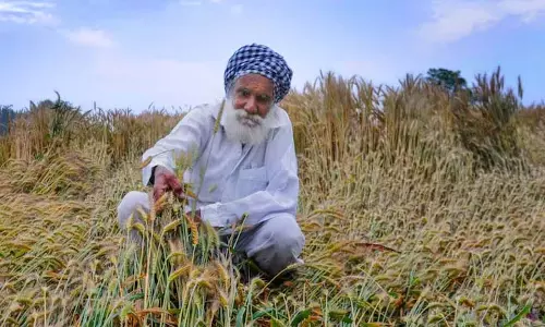 PM-KISAN योजना की 21वीं किस्त: जारी होने की तारीख और प्रमुख अपडेट की घोषणा