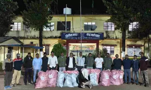 Gadchiroli के घर के बगीचे में गांजा मिला; 1.19 करोड़ रुपये का सामान जब्त