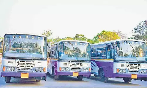 मेदाराम जथारा के लिए विशेष बसें: RM D. Vijayabhanu मेदाराम जथारा के लिए विशेष बसें: RM D. Vijayabhanu