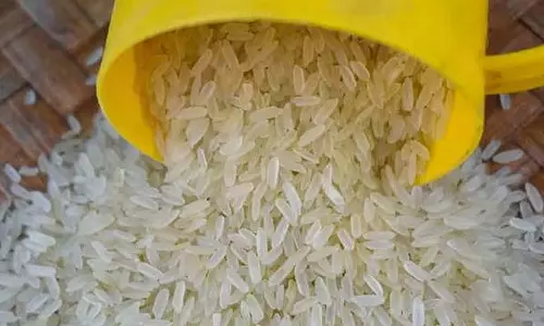 राशन का चावल घटिया क्वालिटी का! गाँव वालों ने पकाकर अधिकारियों को खिलाया राशन का चावल घटिया क्वालिटी का! गाँव वालों ने पकाकर अधिकारियों को खिलाया