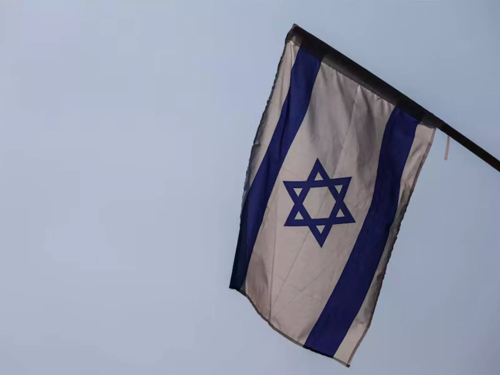 Israel: थाईलैंड से 200 जानवरों की तस्करी का प्रयास विफल Israel: थाईलैंड से 200 जानवरों की तस्करी का प्रयास विफल