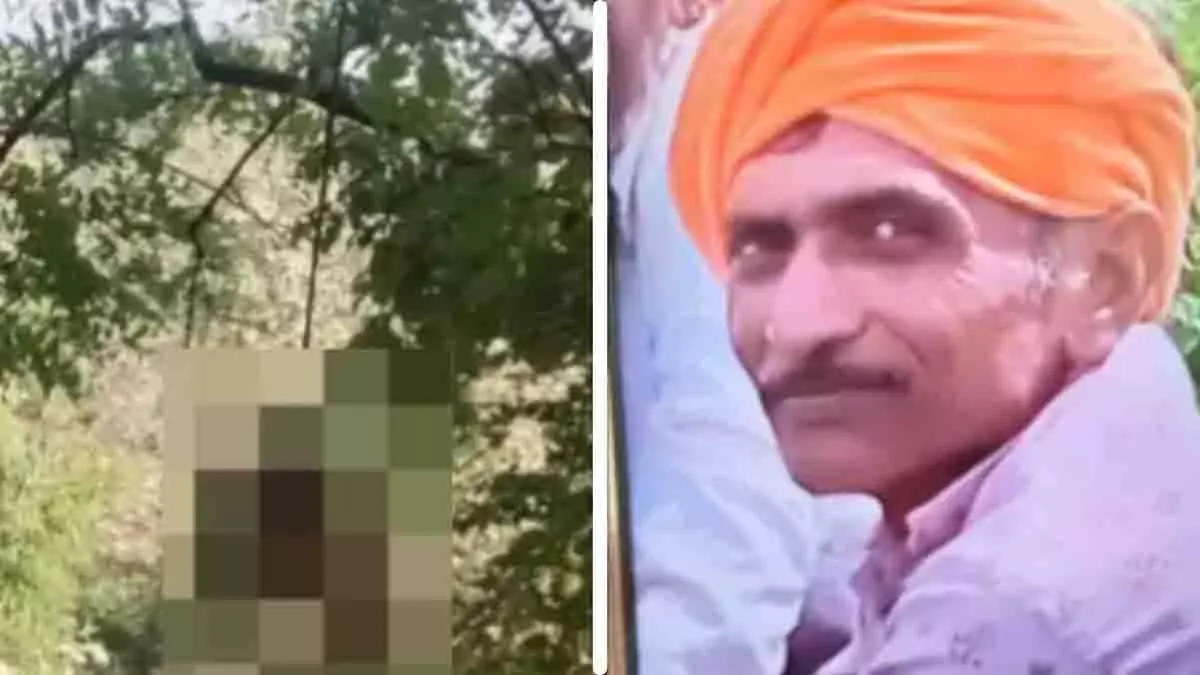 MP: एक महीने से लापता बुजुर्ग का शव खंडवा के जंगल में पेड़ से लटका मिला MP: एक महीने से लापता बुजुर्ग का शव खंडवा के जंगल में पेड़ से लटका मिला