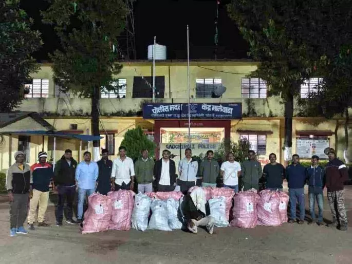 Gadchiroli के घर के बगीचे में गांजा मिला; 1.19 करोड़ रुपये का सामान जब्त Gadchiroli के घर के बगीचे में गांजा मिला; 1.19 करोड़ रुपये का सामान जब्त