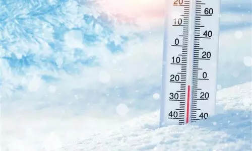 Himachal Weather: शीतलहर की चपेट में डूबा प्रदेश