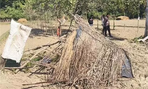 Haryana: हाथी ने मचाया उत्पात, किसानों की तोड़ी झोंपड़ियां Haryana: हाथी ने मचाया उत्पात, किसानों की तोड़ी झोंपड़ियां