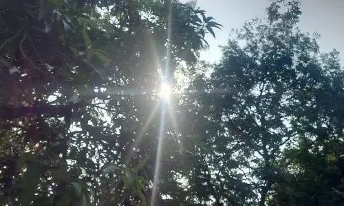 इस साल रायपुर में ठंड ज्यादा, कई जिलों में शीतलहर की स्थिति