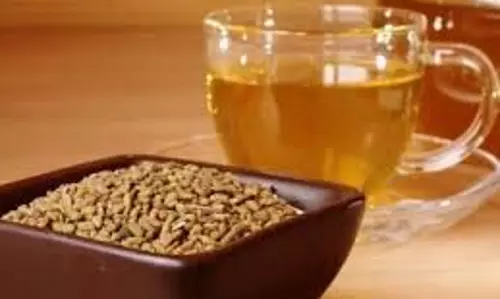Fenugreek Water For Skin: सर्दियों में झुर्रियां और डल स्किन के लिए सुबह-सुबह पिएं मेथी का पानी, जानें इसके फायदे Fenugreek Water For Skin: सर्दियों में झुर्रियां और डल स्किन के लिए सुबह-सुबह पिएं मेथी का पानी, जानें इसके फायदे