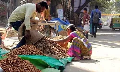 Basavanagudi मूंगफली पैरिश 17 नवंबर से: पहली बार 5 दिनों तक आयोजित होगा आयोजन Basavanagudi मूंगफली पैरिश 17 नवंबर से: पहली बार 5 दिनों तक आयोजित होगा आयोजन